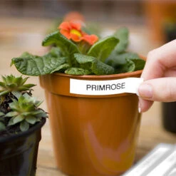 Electronic Garden Labeller With Mains Adapter And Spare Tape -GreenHaven Shop image 139050