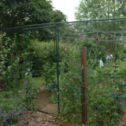 Deluxe Fruit Cage Door -GreenHaven Shop image 139360