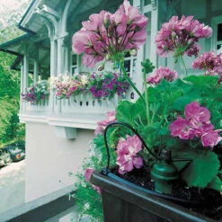 Tropf Blumat Mains Kit - Fitting To 19mm Threaded Tap -GreenHaven Shop image 139452