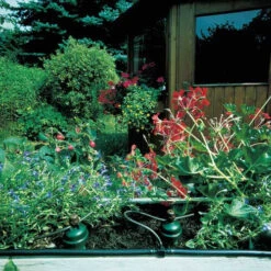 Tropf Blumat Mains Kit - Fitting To 19mm Threaded Tap -GreenHaven Shop image 139455