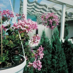 Tropf Blumat Tank Kit -GreenHaven Shop image 139461