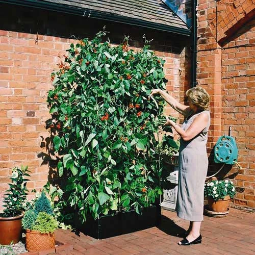 Mini Raised Bed Set - Bed, Liner And Support Frame 3 Mini Raised Bed Set - Bed, Liner And Support Frame