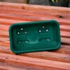 Pack Of 7 Quarter Seed Trays -GreenHaven Shop image 139601