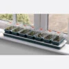 Window Sill Propagator With 14 Seed Trays And Covers 2 Window Sill Propagator With 14 Seed Trays And Covers -GreenHaven Shop image 139608