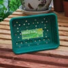 Half Seed Trays Pack Of 6 -GreenHaven Shop image 139620