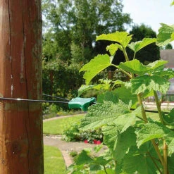 Gripple Plant Support System Starter Pack -GreenHaven Shop image 140149