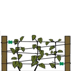 Gripple Plant Support System Starter Pack -GreenHaven Shop image 140151