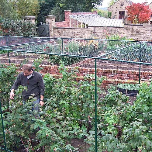 Deluxe 6' High Fruit Cage 3 Deluxe 6' High Fruit Cage