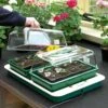 Fixed Temperature Propagator -GreenHaven Shop image 61209