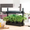 Grow Light Garden Propagator -GreenHaven Shop image 61268
