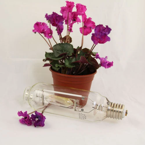 Lamp For Professional Grow Light 3 Lamp For Professional Grow Light