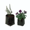 Polythene Pots 2 Polythene Pots -GreenHaven Shop image 61686
