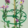 Plant Rings -GreenHaven Shop image 61691