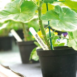 White Plastic Labels