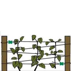 Gripple Plant Support System Starter Pack -GreenHaven Shop image 64692