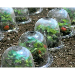 Baby Bells Pack Of 3 -GreenHaven Shop image 65781