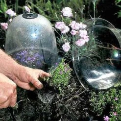 Baby Bells Pack Of 3 -GreenHaven Shop image 65785