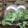 King Size Victorian Bell Cloches (Pack 2) -GreenHaven Shop image 65787