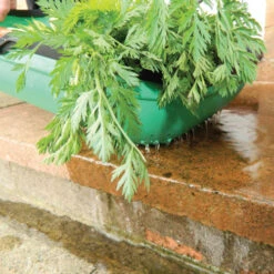 Colander Trug -GreenHaven Shop image 65945