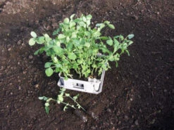 Compact Plant Trainer -GreenHaven Shop image 65987