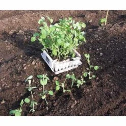 Compact Plant Trainer -GreenHaven Shop image 65988