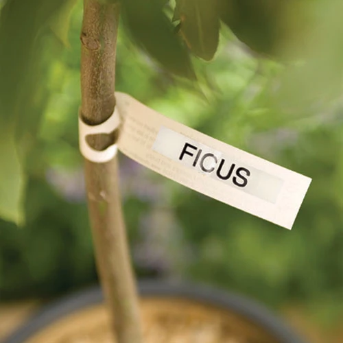 Electronic Garden Labeller 6 Electronic Garden Labeller - Image 5