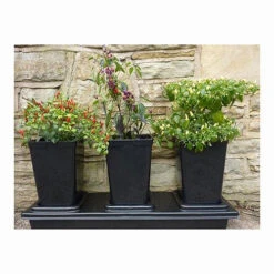 Triplegrow Planter Chillegrow -GreenHaven Shop image 83433