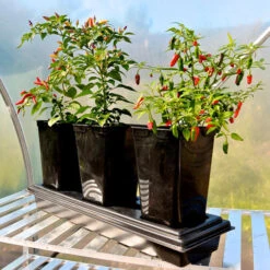 Triplegrow Planter Chillegrow -GreenHaven Shop image 83435