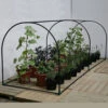 Haxnicks Grower Frame -GreenHaven Shop image 84551