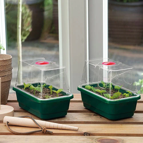 Fab4 Propagator 4 Fab4 Propagator - Image 2