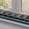 Window Sill Propagator -GreenHaven Shop image 86965