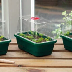 Window Sill Propagator -GreenHaven Shop image 86969