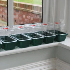 Window Sill Propagator -GreenHaven Shop image 86970