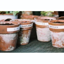 Laminated Tape For Garden Labeller -GreenHaven Shop image 88766