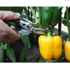 Darlac Compact Snips -GreenHaven Shop image 88939