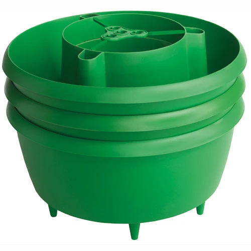 Plant Halos 4 Plant Halos - Image 2