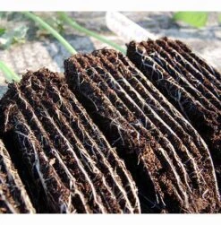 Rootrainers -GreenHaven Shop image 91392