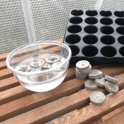 Jiffy 7 Pellets -GreenHaven Shop jb4