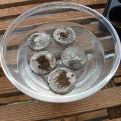 Jiffy 7 Pellets -GreenHaven Shop jb5