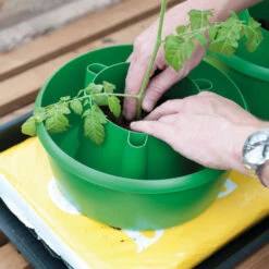 Plant Halos 13 Plant Halos -GreenHaven Shop plh3 1