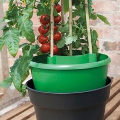 Plant Halos 17 Plant Halos -GreenHaven Shop plh7 1