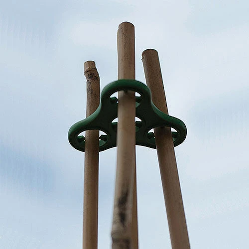 Plant Halos 9 Plant Halos - Image 7