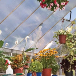 Palram Canopia Balance 8x12 Greenhouse -GreenHaven Shop prbal8124