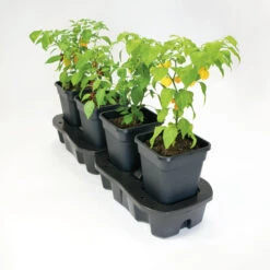 Quadgrow Planter 14 Quadgrow Planter -GreenHaven Shop qgp2 1 2