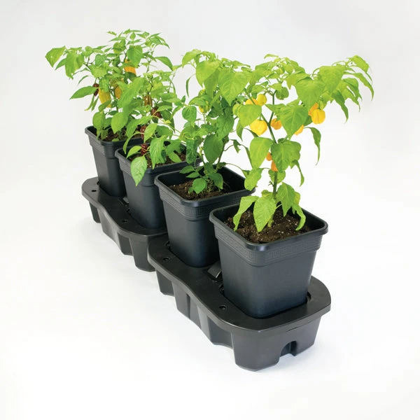 Quadgrow Planter 5 Quadgrow Planter - Image 3