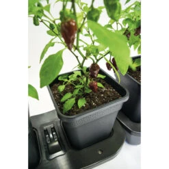 Quadgrow Planter 15 Quadgrow Planter -GreenHaven Shop qgp3 4