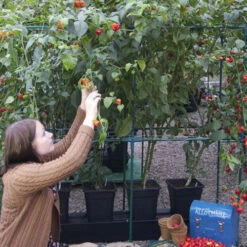 Quadgrow Planter 16 Quadgrow Planter -GreenHaven Shop qgp8 3