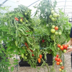 Quadgrow Planter 17 Quadgrow Planter -GreenHaven Shop qgp9 3