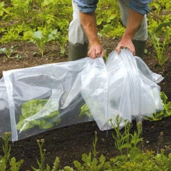 Tunnel Cloche 20 Tunnel Cloche -GreenHaven Shop tc4 1