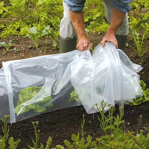 Tunnel Cloche 9 Tunnel Cloche - Image 7